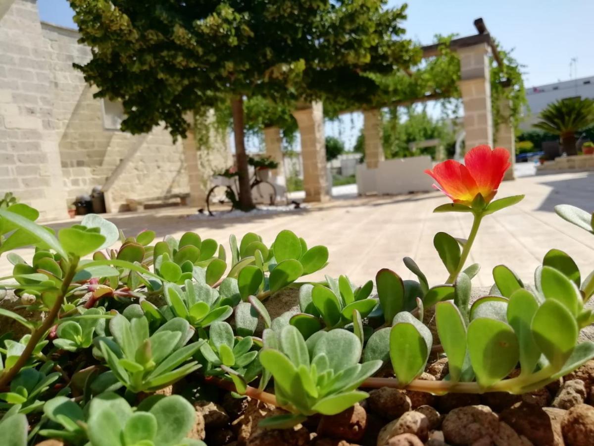 Bed and Breakfast Il Giardino Del Tiglio Уджано-ла-Кьеза Экстерьер фото