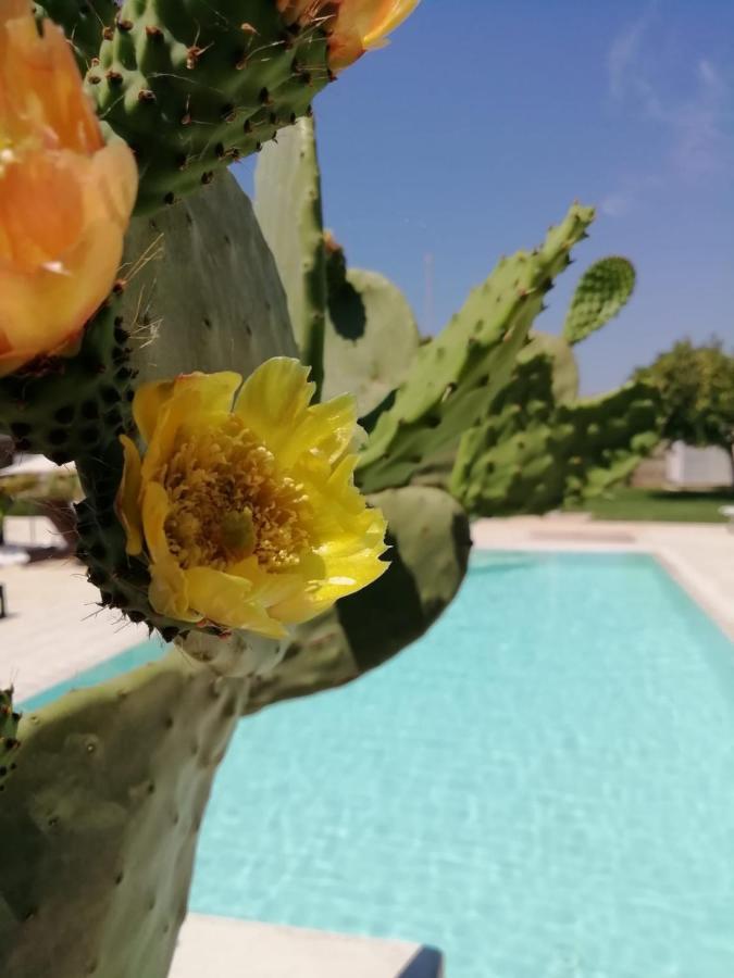 Bed and Breakfast Il Giardino Del Tiglio Уджано-ла-Кьеза Экстерьер фото